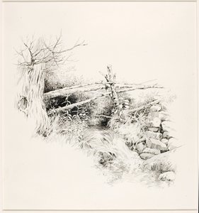 Sin título (Arroyo del bosque) de George Elbert Burr