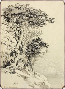 Sin título (dibujo para impresión) de George Elbert Burr
