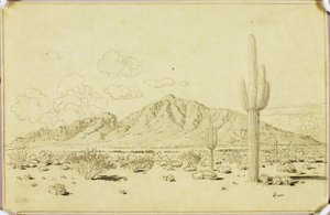 Sin título (dibujo de transferencia para Camelback Mountain, Phoenix) de George Elbert Burr