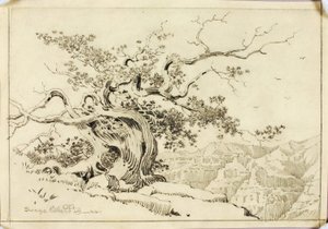 Sin título (dibujo de transferencia para Atardecer, Apache Trail, Arizona) de George Elbert Burr