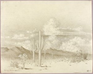 Sin título (dibujo de transferencia para Atardecer, Paradise Valley, Arizona) de George Elbert Burr