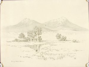 Sin título (dibujo de transferencia para Spanish Peaks [nº 2]) de George Elbert Burr