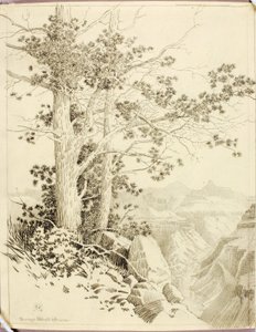 Sin título (dibujo de transferencia para impresión) de George Elbert Burr