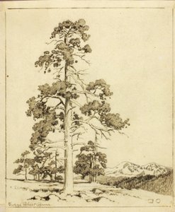 Sin título (dibujo de transferencia para impresión) de George Elbert Burr