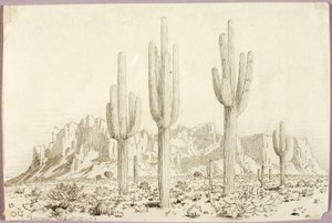 Sin título de George Elbert Burr