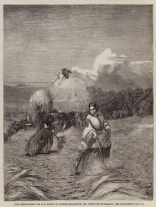 El campo de cebada