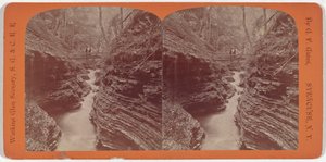 Paisaje de Watkins Glen, Shadow Gorge,c. 1860 (foto) de George F. Gates