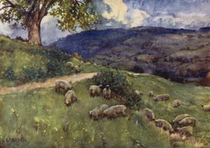 Un pastizal de ovejas en Cotswold de George Franck Nicholls