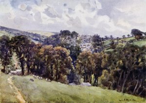 Camelford de George Franck Nicholls