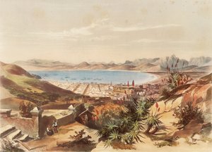 Ciudad del Cabo de George French Angas