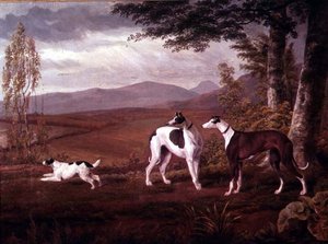 Galgos en un Paisaje