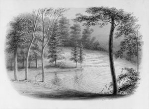 Un Arroyo del Álbum Hosack de George Harvey