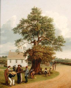 El roble del apóstol