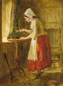 Alimentando al pájaro de George Hay