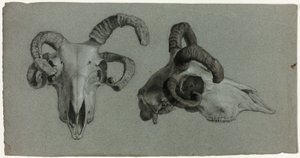 Cráneos de carnero de George Hayter