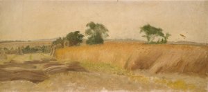 Estudio de un campo de maíz, mediados del siglo XIX