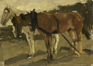 Un caballo marrón y otro blanco en Scheveningen