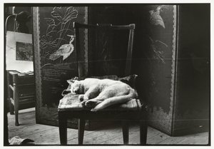 Gato en una silla en el estudio de Breitner en Amsterdam de George Hendrik Breitner