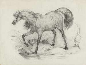 Caballo de pie, a la izquierda