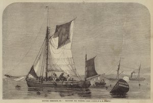 Pesquerías británicas, No 7, trote para buccinos de George Henry Andrews