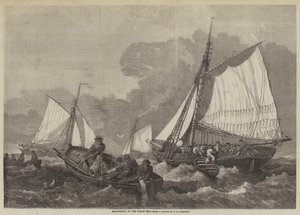 Pesca de Bacalao en el Mar del Norte
