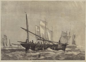Barcos de Caballa Zarpando