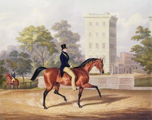 El Marqués de Anglesea a caballo en Hyde Park, en su 80º año, grabado por J. Harris, 1847