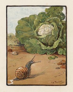 El caracol (litografía en color)