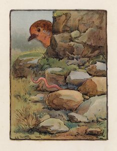 El gusano (litografía en color) de George Henry Thompson