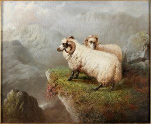 Ovejas en un acantilado, c.1865-68