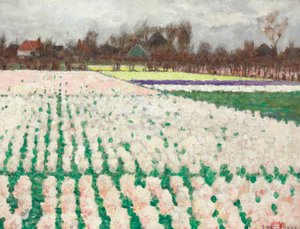 Campos de jacintos de George Hitchcock
