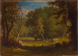 Elfo de tierra de George Inness