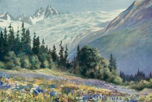 Campanula y otras flores de julio en el Col Des Montets de George Jackson Flemwell