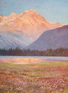 Atardecer entre los campos de Bistort rosa en Lac Champex; puesta de sol en el Grand Combin, julio (litografía en color) de George Jackson Flemwell