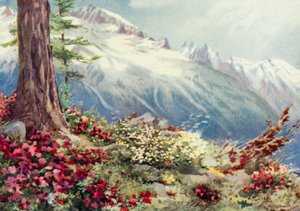 Mont Blanc y la Aiguille Du Midi, vista desde arriba de Argentiere de George Jackson Flemwell