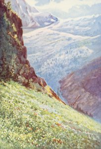 El Lirio del Paraíso (Paradisia Liliastrum) cerca del Glaciar de Trient a mediados de junio (litografía en color) de George Jackson Flemwell