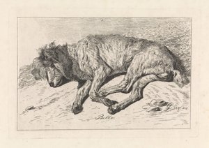 perro durmiendo Bello (título sobre objeto)