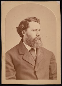 Retrato de Oliver Wolcott Gibbs 1822-1908, entre 1870 y 1873 de George K Warren