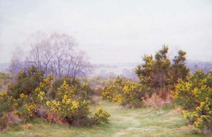 Un común de Surrey de George Marks