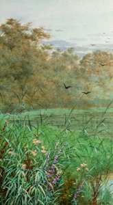 Verano (acuarela) de George Marks