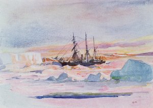 Aurora Austral, ilustración de 