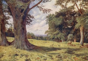 A Glade in Windsor Great Park (litografía en color) de George Moore Henton