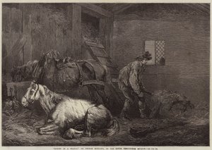 Caballos en un establo