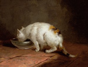 El gato del artista bebiendo de George Morland