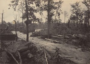 Campo de Batalla de New Hope Church, Georgia No. 1, 1860s de George N. Barnard