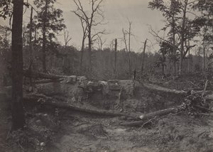 Campo de batalla de la Iglesia New Hope, Georgia No. 2, 1860s