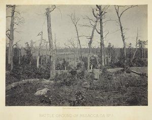 Campo de batalla de Resacca, GA, No. 3, 1866 de George N. Barnard