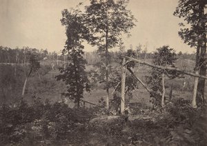 Campo de batalla de Resacca, Georgia No. 2, 1860s de George N. Barnard