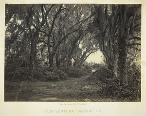 Buenaventura, Savannah, Ga., 1866