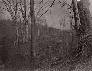 Bull Run, Virginia, 1861-62 de George N. Barnard